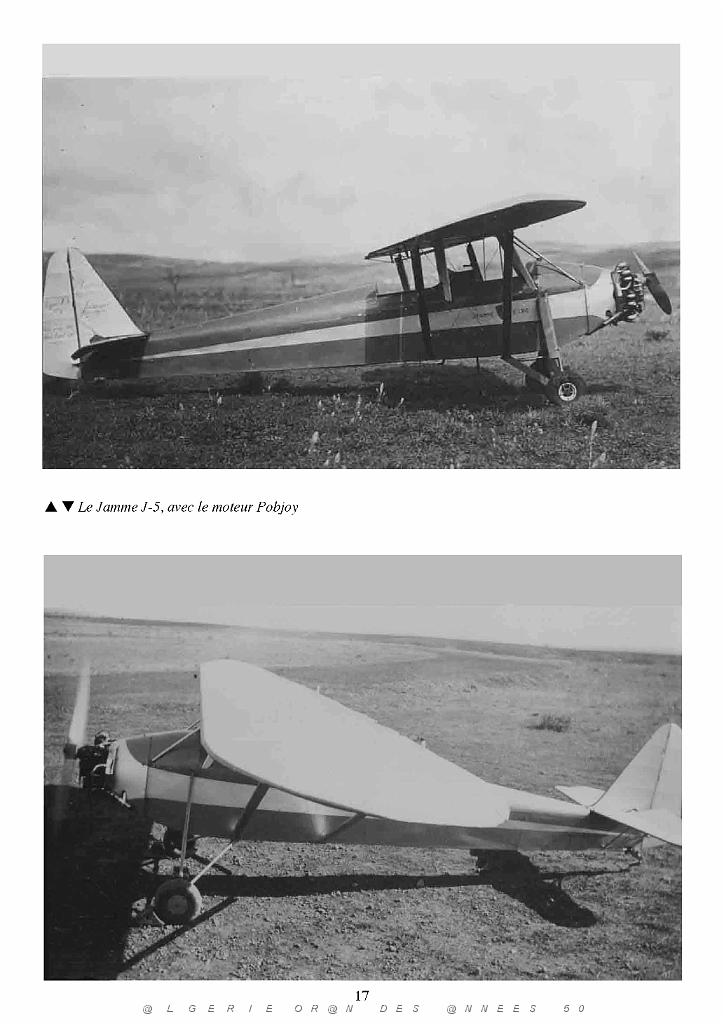 C EST LA FAUTE AUX OISEAUX DE DANIEL ROBERT-BANCHAREL (21).jpg